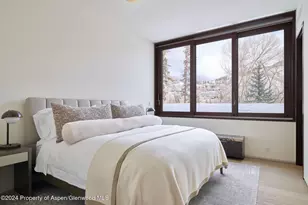 102 Wood Duck Ln, Aspen, CO 81611 - Photo 16