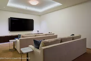 102 Wood Duck Ln, Aspen, CO 81611 - Photo 20