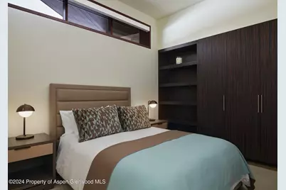 102 Wood Duck Lane, Aspen, CO 81611 - Photo 18