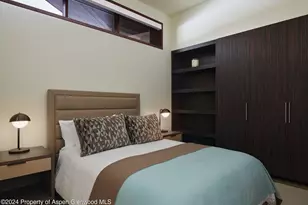 102 Wood Duck Ln, Aspen, CO 81611 - Photo 18