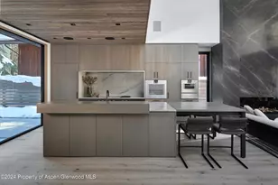 411 Pearl Ct, Aspen, CO 81611 - Photo 10