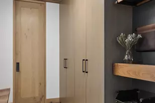 411 Pearl Ct, Aspen, CO 81611 - Photo 38