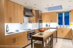 506 W Hallam St, Aspen, CO 81611 - Photo 12