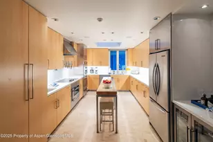 506 W Hallam St, Aspen, CO 81611 - Photo 10