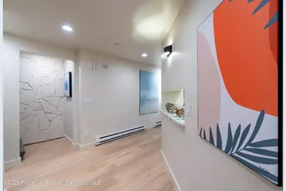 506 W Hallam Street, Aspen, CO 81611 - Photo 34