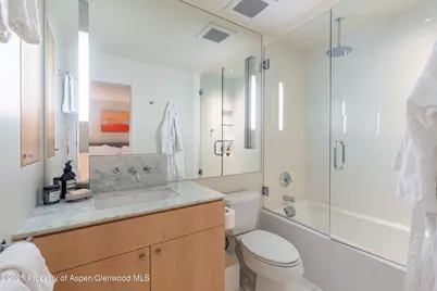 506 W Hallam Street, Aspen, CO 81611 - Photo 30