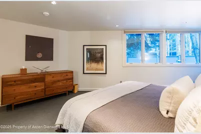 506 W Hallam Street, Aspen, CO 81611 - Photo 26