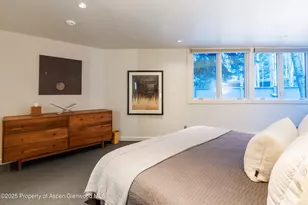 506 W Hallam St, Aspen, CO 81611 - Photo 26