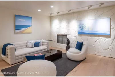 506 W Hallam Street, Aspen, CO 81611 - Photo 38