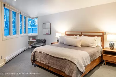 506 W Hallam Street, Aspen, CO 81611 - Photo 24