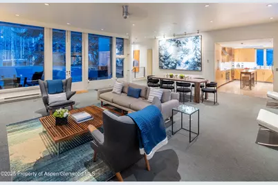 506 W Hallam Street, Aspen, CO 81611 - Photo 8