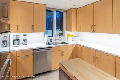 506 W Hallam Street, Aspen, CO 81611 - Photo 14