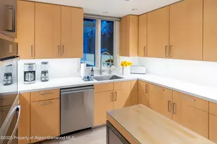 506 W Hallam St, Aspen, CO 81611 - Photo 14