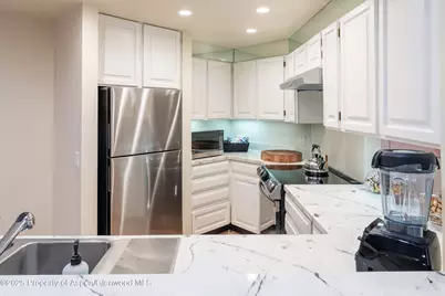 506 W Hallam Street, Aspen, CO 81611 - Photo 44