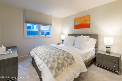 506 W Hallam Street, Aspen, CO 81611 - Photo 28