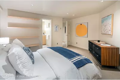 506 W Hallam Street, Aspen, CO 81611 - Photo 32