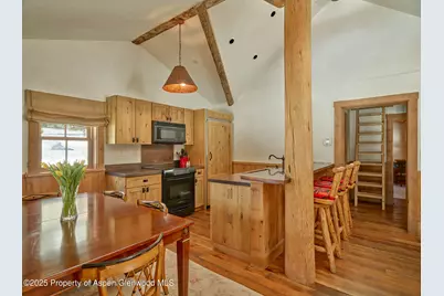 125 Rooney Circle, Aspen, CO 81611 - Photo 46