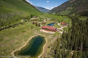 125 Rooney Cir, Aspen, CO 81611 - Photo 6