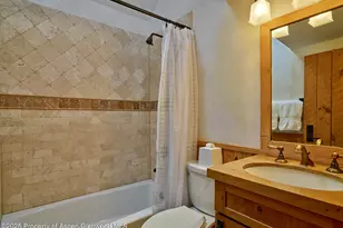 125 Rooney Cir, Aspen, CO 81611 - Photo 48