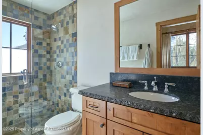 125 Rooney Circle, Aspen, CO 81611 - Photo 56