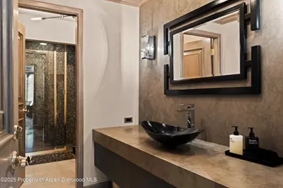 730 S Galena Street, Aspen, CO 81611 - Photo 74