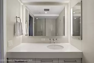 730 S Galena St, Aspen, CO 81611 - Photo 72