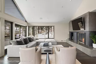 730 S Galena Street, Aspen, CO 81611 - Photo 8