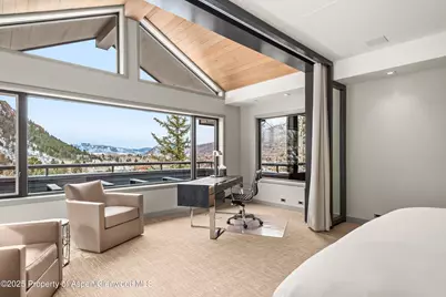 730 S Galena Street, Aspen, CO 81611 - Photo 42