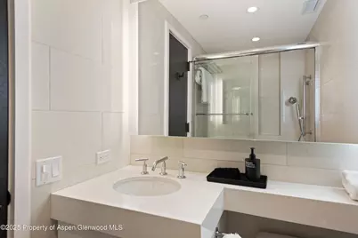 730 S Galena Street, Aspen, CO 81611 - Photo 54