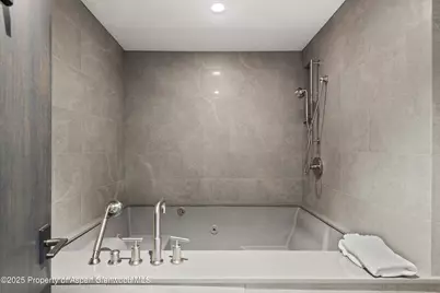 730 S Galena Street, Aspen, CO 81611 - Photo 58