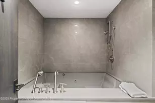 730 S Galena St, Aspen, CO 81611 - Photo 58