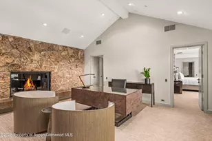 730 S Galena St, Aspen, CO 81611 - Photo 66