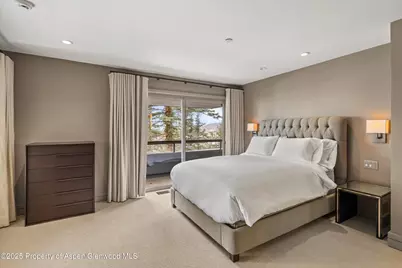 730 S Galena Street, Aspen, CO 81611 - Photo 52
