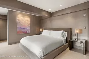 730 S Galena St, Aspen, CO 81611 - Photo 50