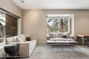 730 S Galena St, Aspen, CO 81611 - Photo 38