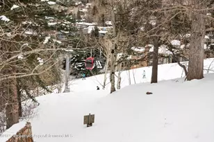 730 S Galena St, Aspen, CO 81611 - Photo 14