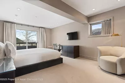 730 S Galena Street, Aspen, CO 81611 - Photo 64