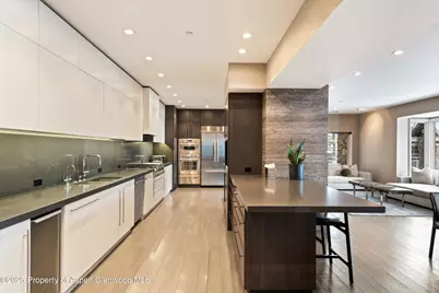 730 S Galena Street, Aspen, CO 81611 - Photo 32