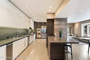 730 S Galena St, Aspen, CO 81611 - Photo 32