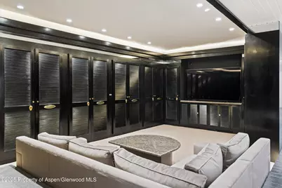 730 S Galena Street, Aspen, CO 81611 - Photo 28