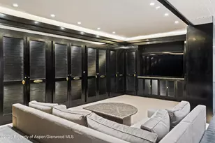 730 S Galena St, Aspen, CO 81611 - Photo 28