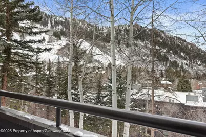 730 S Galena Street, Aspen, CO 81611 - Photo 22