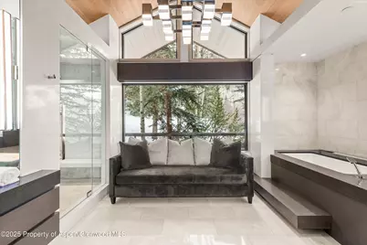 730 S Galena Street, Aspen, CO 81611 - Photo 46