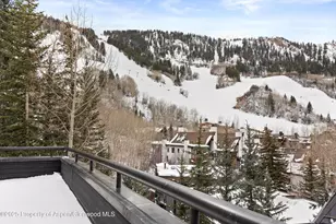 730 S Galena St, Aspen, CO 81611 - Photo 24