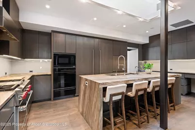 730 S Galena Street, Aspen, CO 81611 - Photo 18