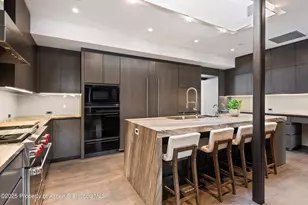 730 S Galena St, Aspen, CO 81611 - Photo 18