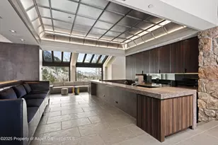 730 S Galena St, Aspen, CO 81611 - Photo 10