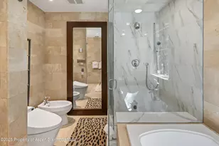 901 W Francis St, Aspen, CO 81611 - Photo 10