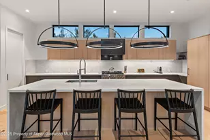 721 Cemetery Ln Ln, Aspen, CO 81611 - Photo 12