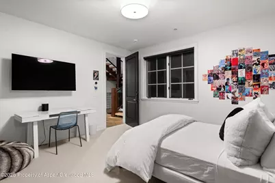 289 Exhibition Lane, Aspen, CO 81611 - Photo 24